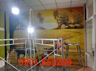  Báo giá tranh dán tường Biên Hòa thi công tận nhà mới nhất